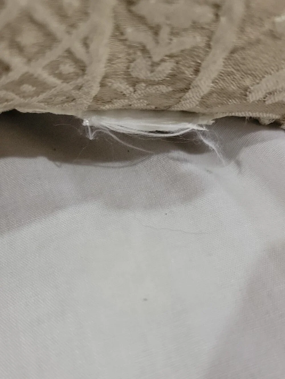 Decorative Damask Accent Pillow in Cream and Tan -